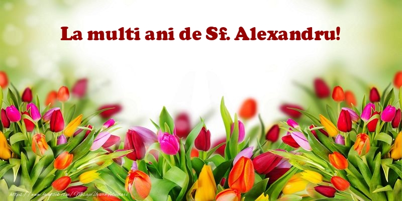 La multi ani de Sf. Alexandru!