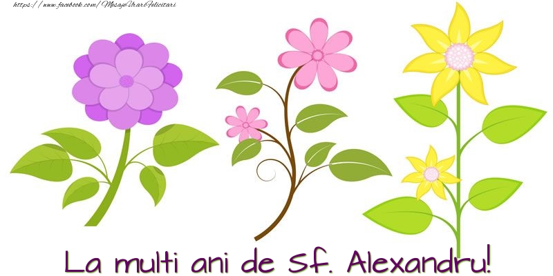 Felicitari de Sfantul Alexandru - La multi ani de Sf. Alexandru! - mesajeurarifelicitari.com