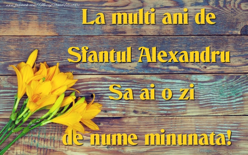 Felicitari de Sfantul Alexandru - Sfantul Alexandru - mesajeurarifelicitari.com