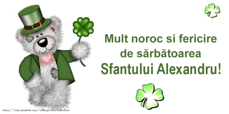 Mult noroc si fericire de sarbatoarea Sfantului Alexandru!
