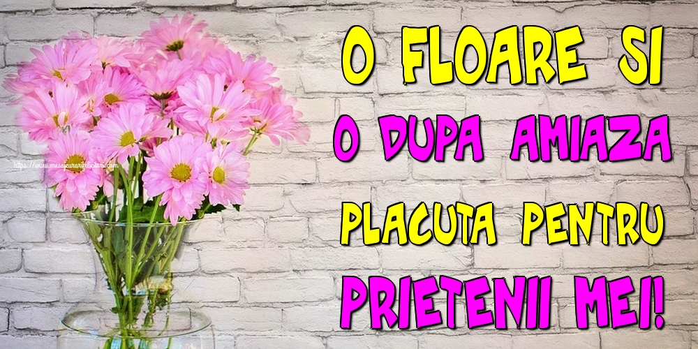 O floare si o dupa amiaza placuta pentru prietenii mei!