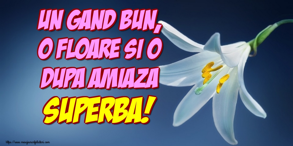Un gand bun, o floare si o dupa amiaza superba!