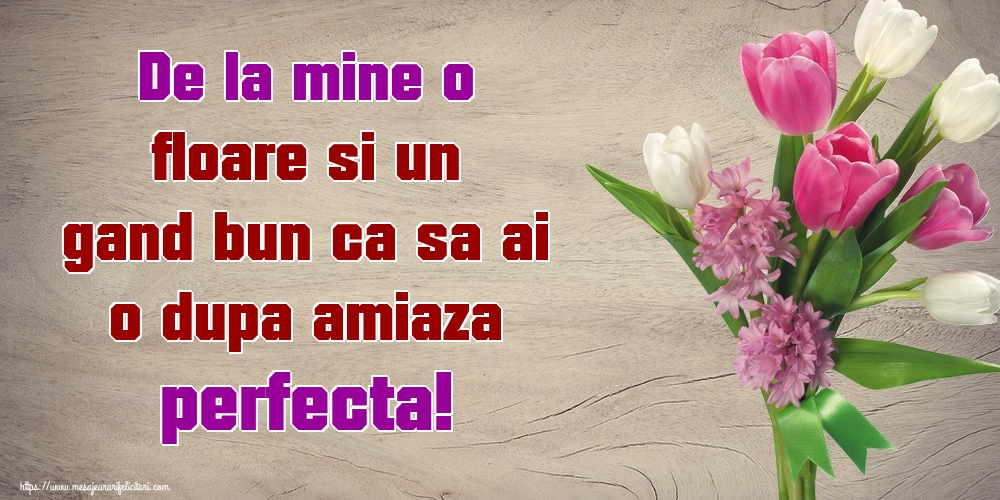 Felicitari de Amiaza - De la mine o floare si un gand bun ca sa ai o dupa amiaza perfecta! - mesajeurarifelicitari.com
