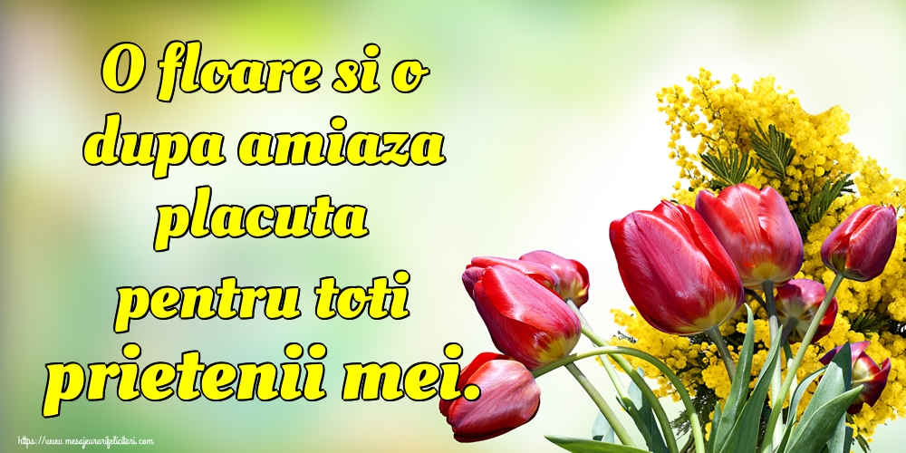 O floare si o dupa amiaza placuta pentru toti prietenii mei.