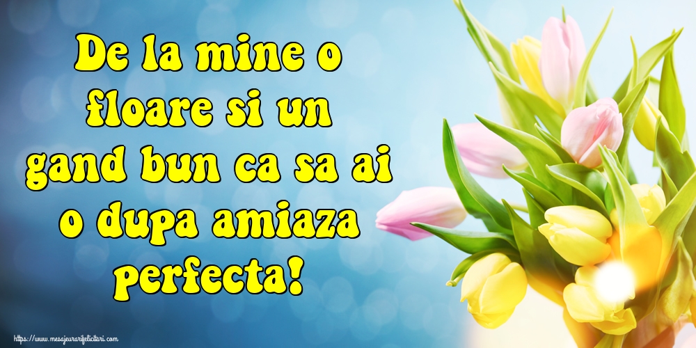Felicitari de Amiaza - De la mine o floare si un gand bun ca sa ai o dupa amiaza perfecta! - mesajeurarifelicitari.com