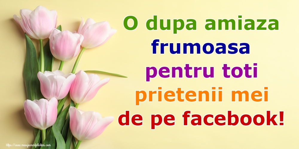 O dupa amiaza frumoasa pentru toti prietenii mei de pe facebook!