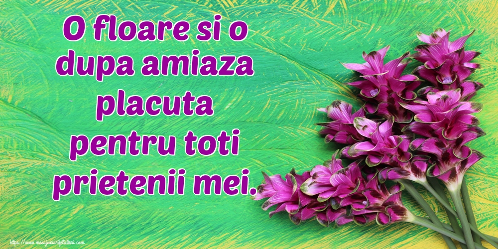 Felicitari de Amiaza - O floare si o dupa amiaza placuta pentru toti prietenii mei. - mesajeurarifelicitari.com
