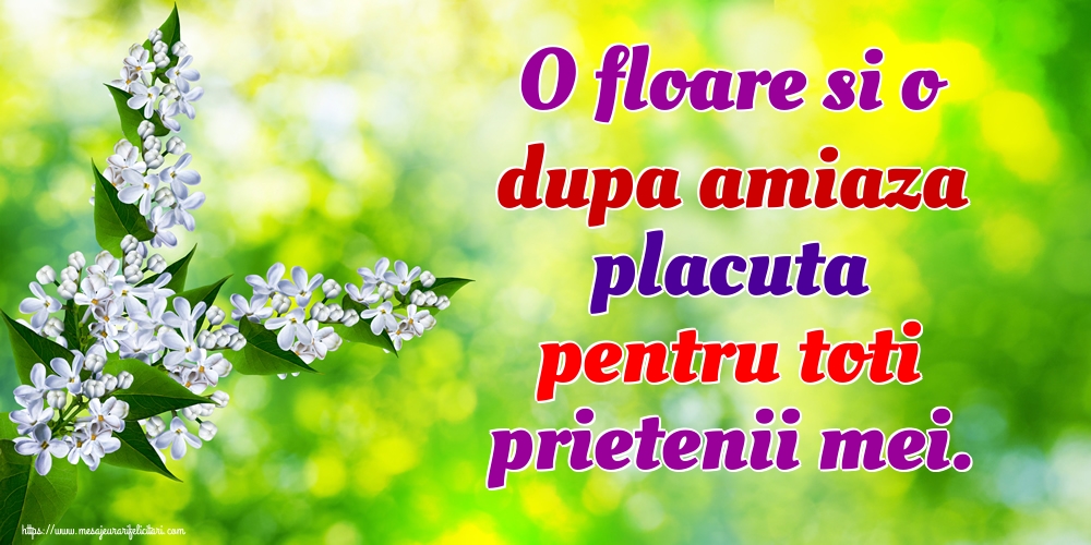 O floare si o dupa amiaza placuta pentru toti prietenii mei.
