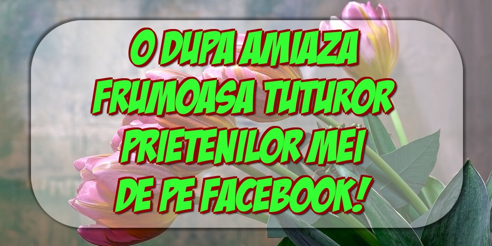 O dupa amiaza frumoasa tuturor prietenilor mei de pe facebook!