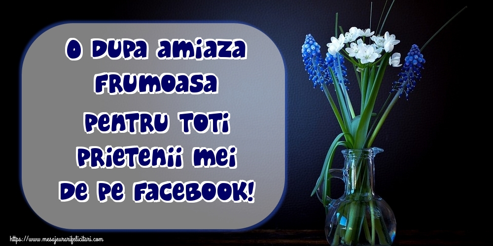 O dupa amiaza frumoasa pentru toti prietenii mei de pe facebook!