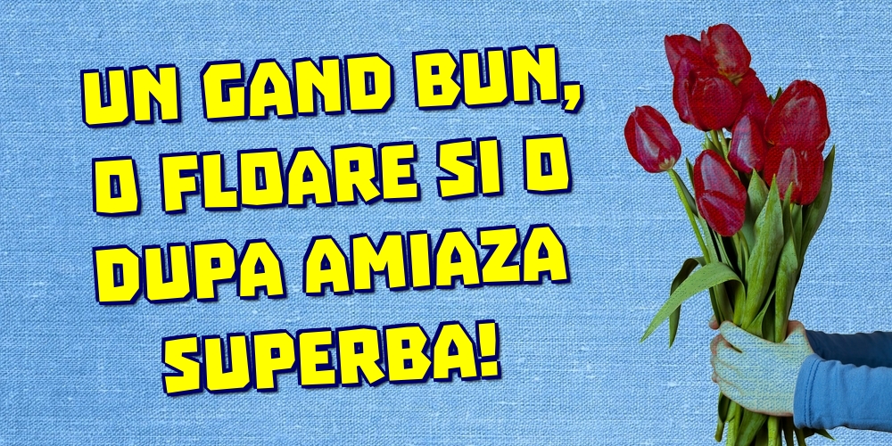 Un gand bun, o floare si o dupa amiaza superba!