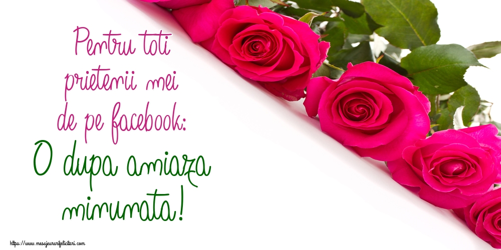 Felicitari de Amiaza - Pentru toti prietenii mei de pe facebook: O dupa amiaza minunata! - mesajeurarifelicitari.com