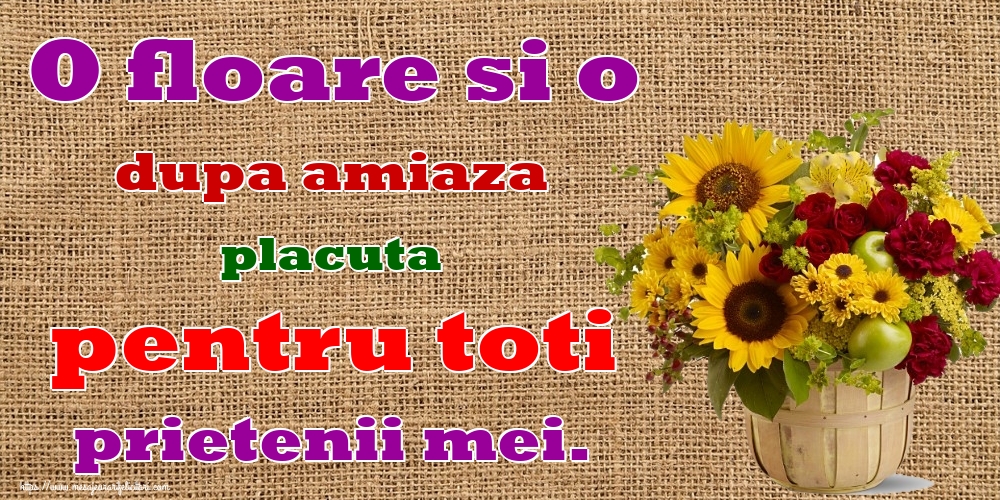 O floare si o dupa amiaza placuta pentru toti prietenii mei.