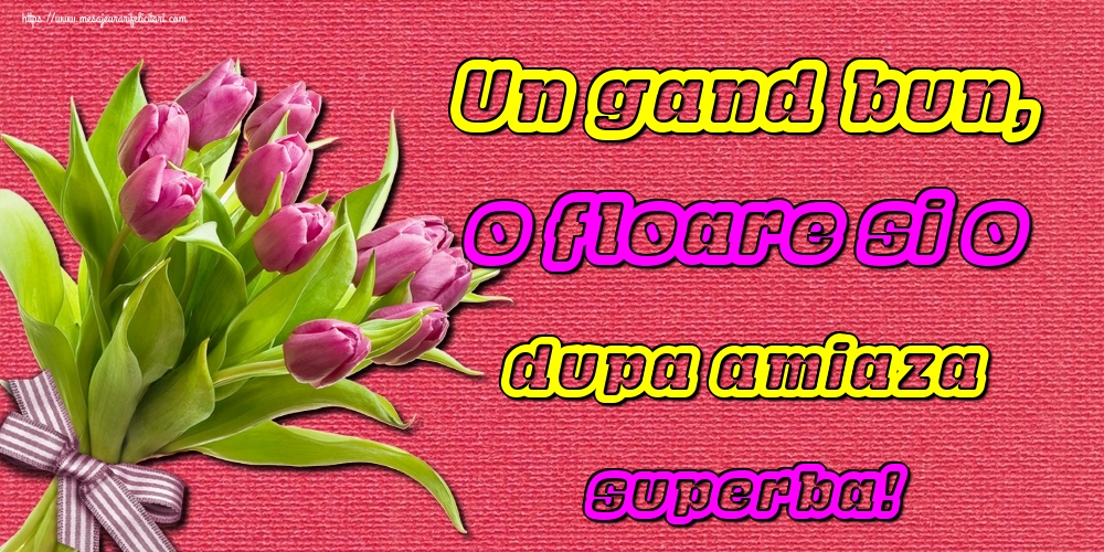 Un gand bun, o floare si o dupa amiaza superba!