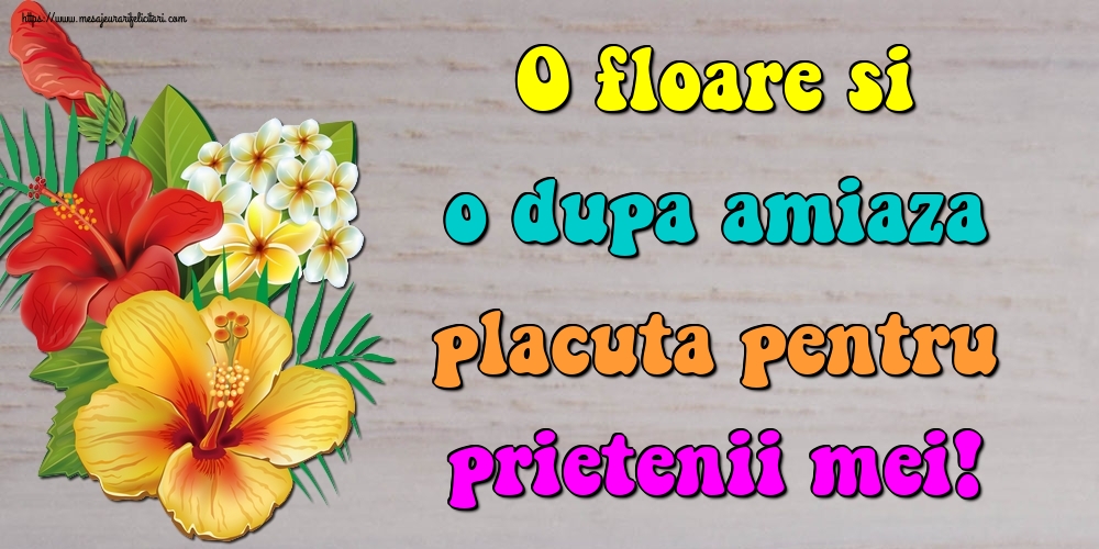 O floare si o dupa amiaza placuta pentru prietenii mei!