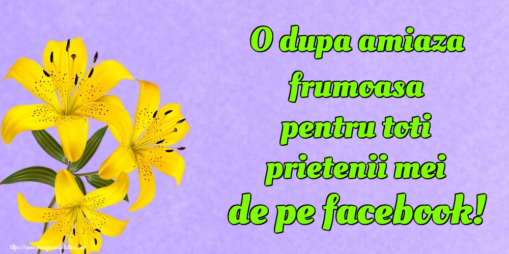 O dupa amiaza frumoasa pentru toti prietenii mei de pe facebook!