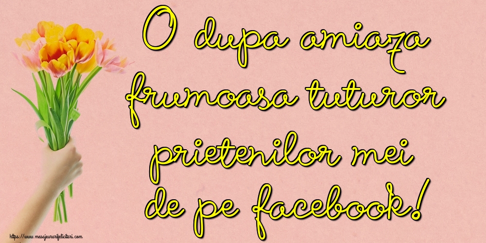 O dupa amiaza frumoasa tuturor prietenilor mei de pe facebook!