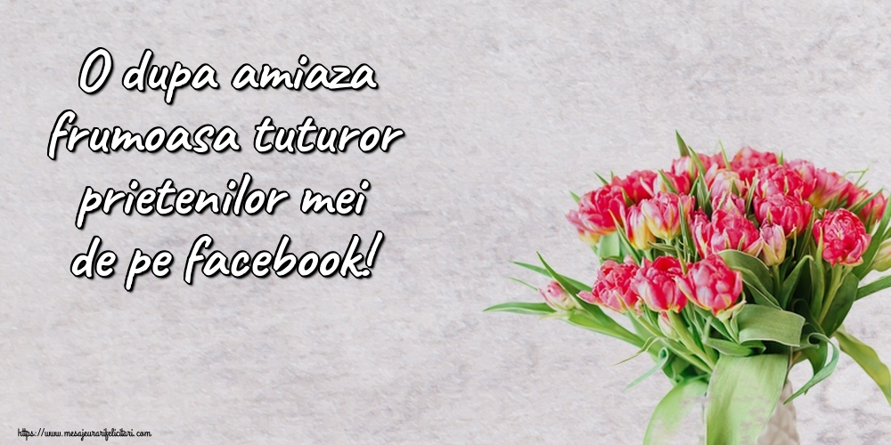 Felicitari de Amiaza - O dupa amiaza frumoasa tuturor prietenilor mei de pe facebook! - mesajeurarifelicitari.com