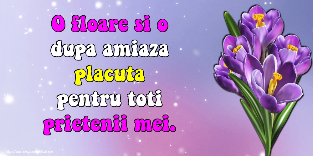 O floare si o dupa amiaza placuta pentru toti prietenii mei.