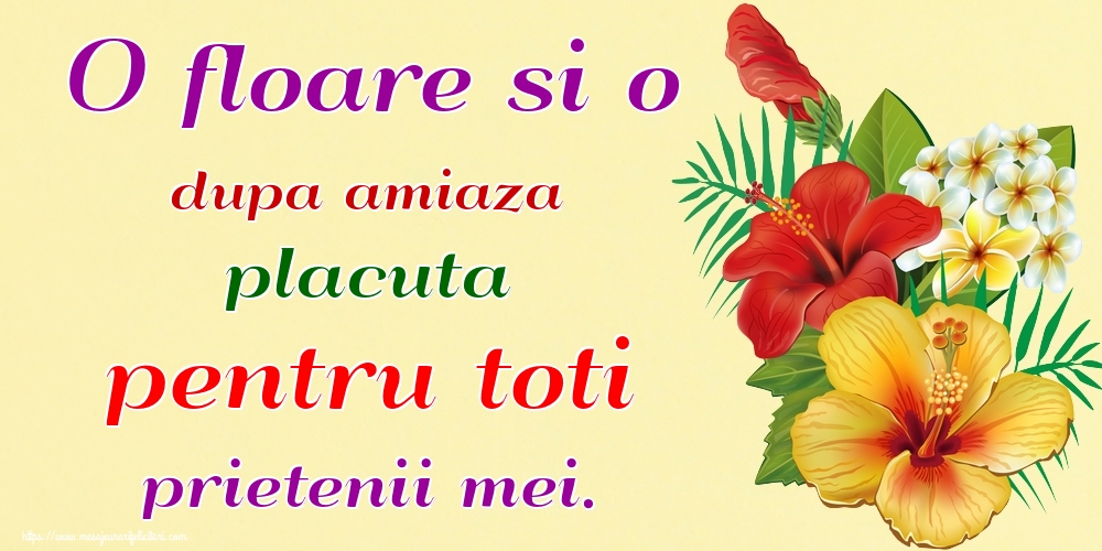 O floare si o dupa amiaza placuta pentru toti prietenii mei.