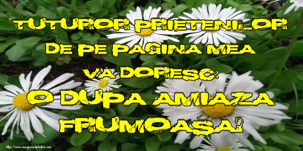 Tuturor prietenilor de pe pagina mea va doresc: O dupa amiaza frumoasa!