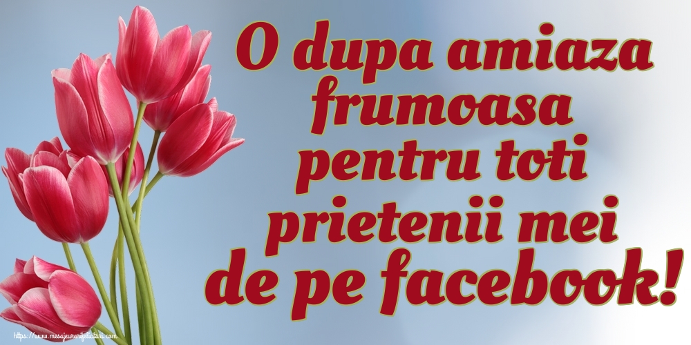 O dupa amiaza frumoasa pentru toti prietenii mei de pe facebook!