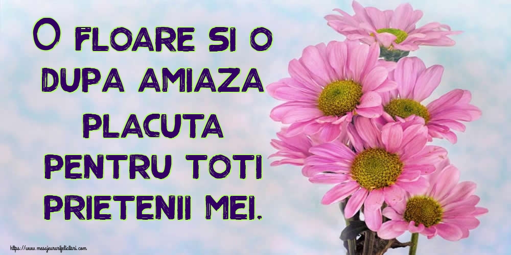 O floare si o dupa amiaza placuta pentru toti prietenii mei.