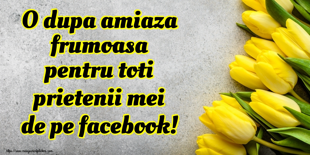 O dupa amiaza frumoasa pentru toti prietenii mei de pe facebook!