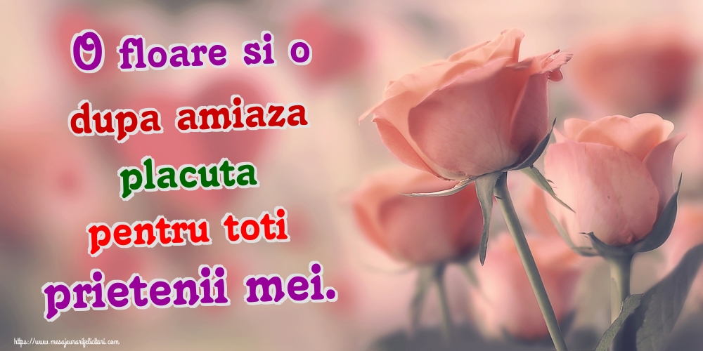 O floare si o dupa amiaza placuta pentru toti prietenii mei.