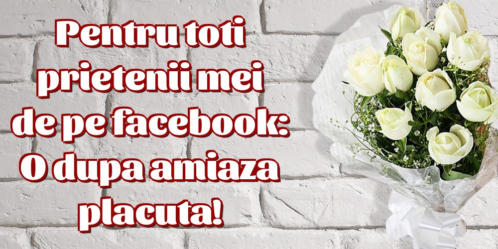 Pentru toti prietenii mei de pe facebook: O dupa amiaza placuta!