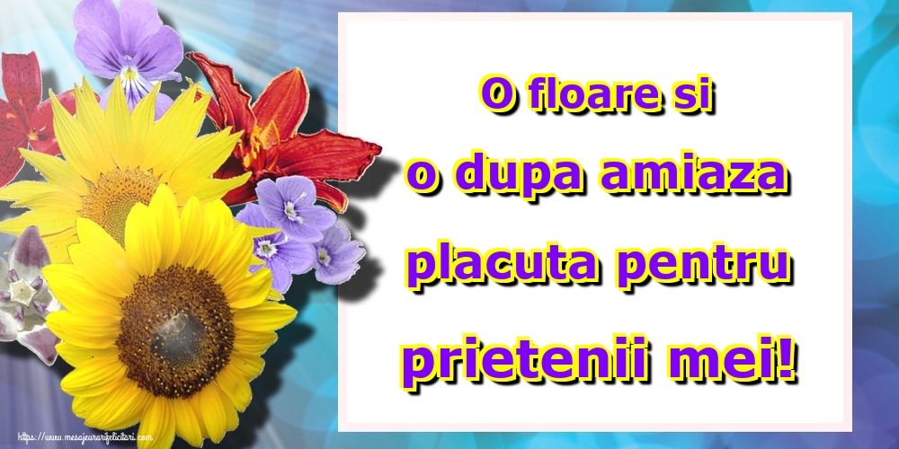 O floare si o dupa amiaza placuta pentru prietenii mei!