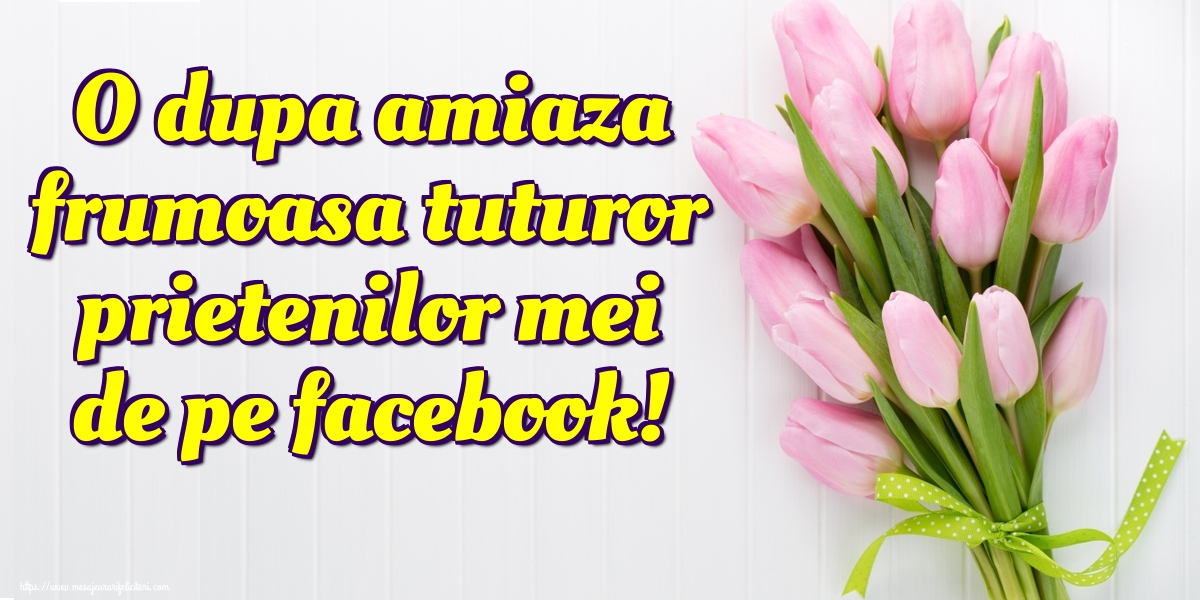 O dupa amiaza frumoasa tuturor prietenilor mei de pe facebook!