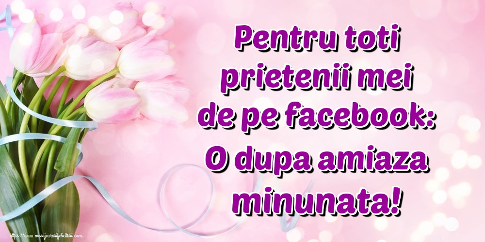 Pentru toti prietenii mei de pe facebook: O dupa amiaza minunata!