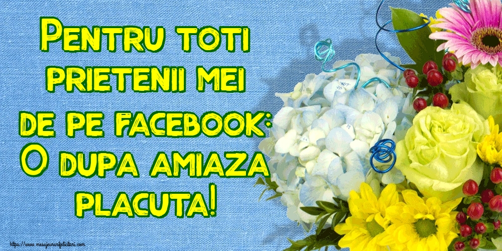 Pentru toti prietenii mei de pe facebook: O dupa amiaza placuta!