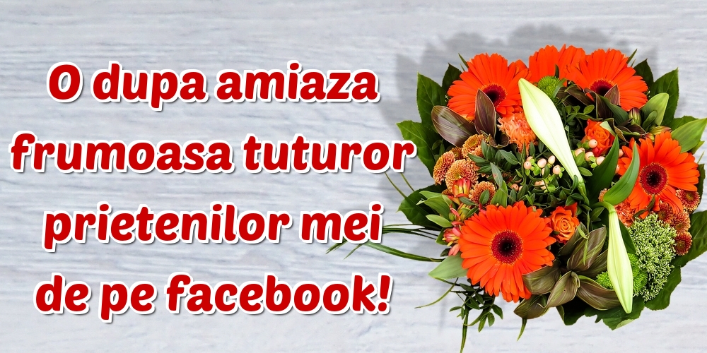 O dupa amiaza frumoasa tuturor prietenilor mei de pe facebook!