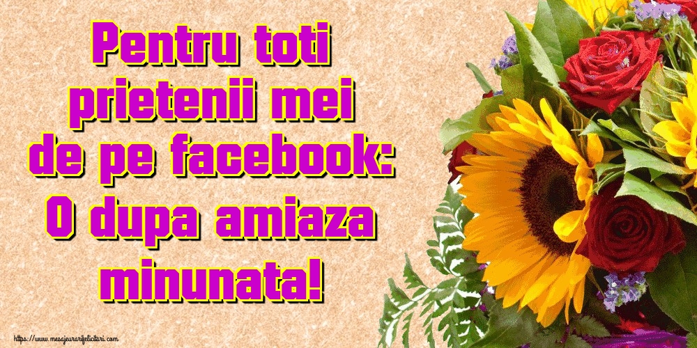 Pentru toti prietenii mei de pe facebook: O dupa amiaza minunata!