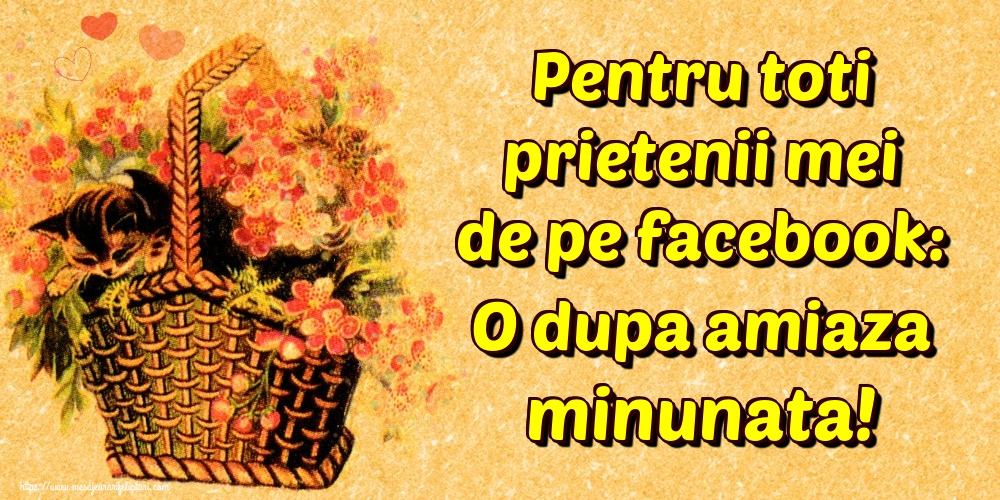 Pentru toti prietenii mei de pe facebook: O dupa amiaza minunata!