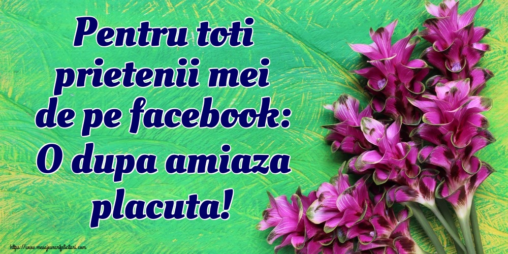 Pentru toti prietenii mei de pe facebook: O dupa amiaza placuta!