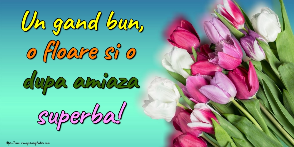 Un gand bun, o floare si o dupa amiaza superba!