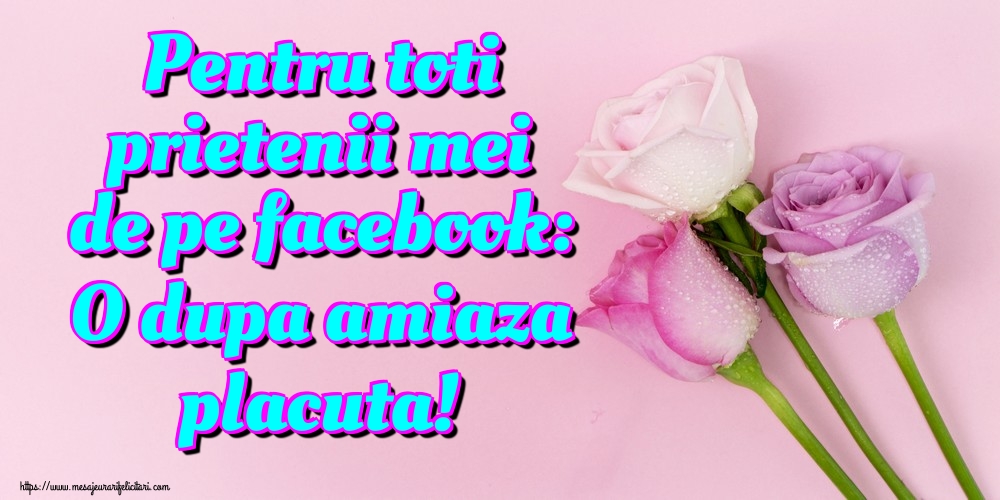 Pentru toti prietenii mei de pe facebook: O dupa amiaza placuta!