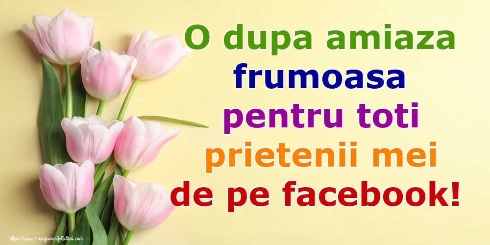 Felicitari de Amiaza - O dupa amiaza frumoasa pentru toti prietenii mei de pe facebook! - mesajeurarifelicitari.com
