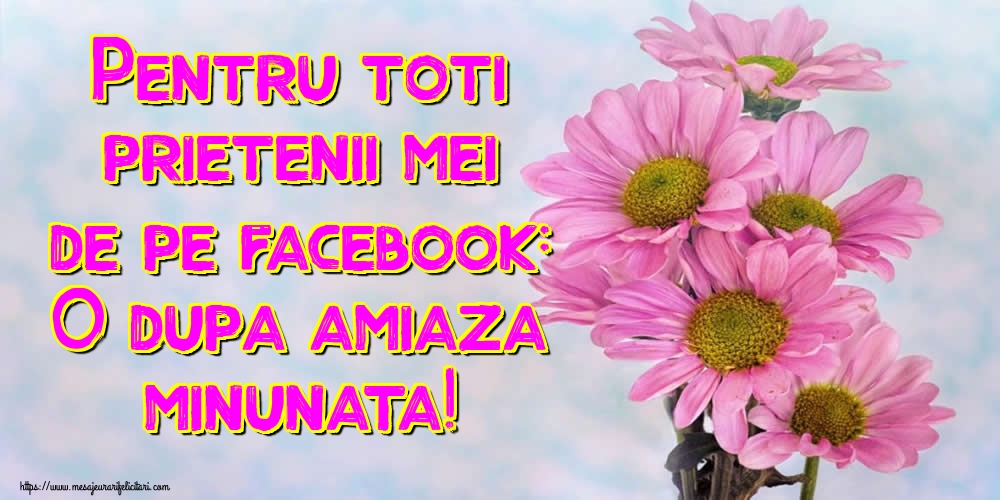 Pentru toti prietenii mei de pe facebook: O dupa amiaza minunata!