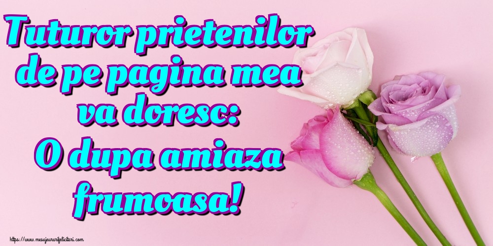 Felicitari de Amiaza - Tuturor prietenilor de pe pagina mea va doresc: O dupa amiaza frumoasa! - mesajeurarifelicitari.com