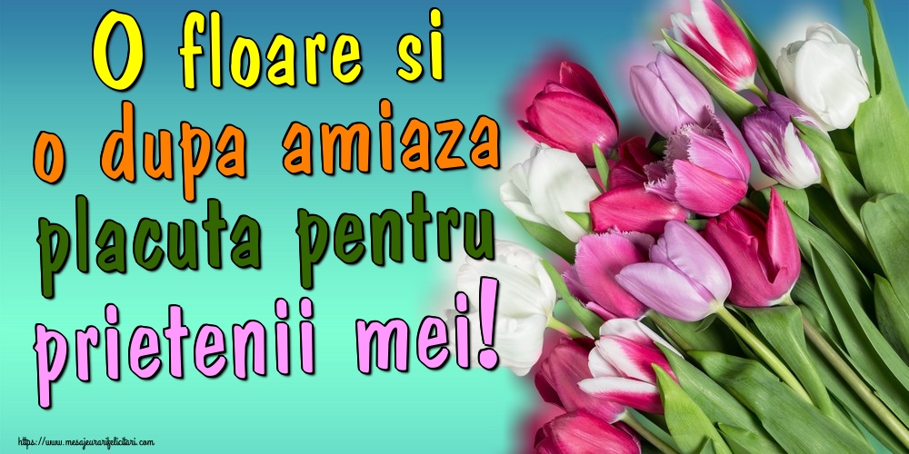 Felicitari de Amiaza - O floare si o dupa amiaza placuta pentru prietenii mei! - mesajeurarifelicitari.com