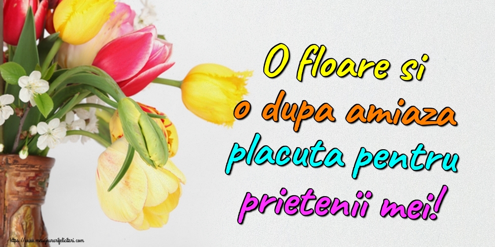 Felicitari de Amiaza - O floare si o dupa amiaza placuta pentru prietenii mei! - mesajeurarifelicitari.com