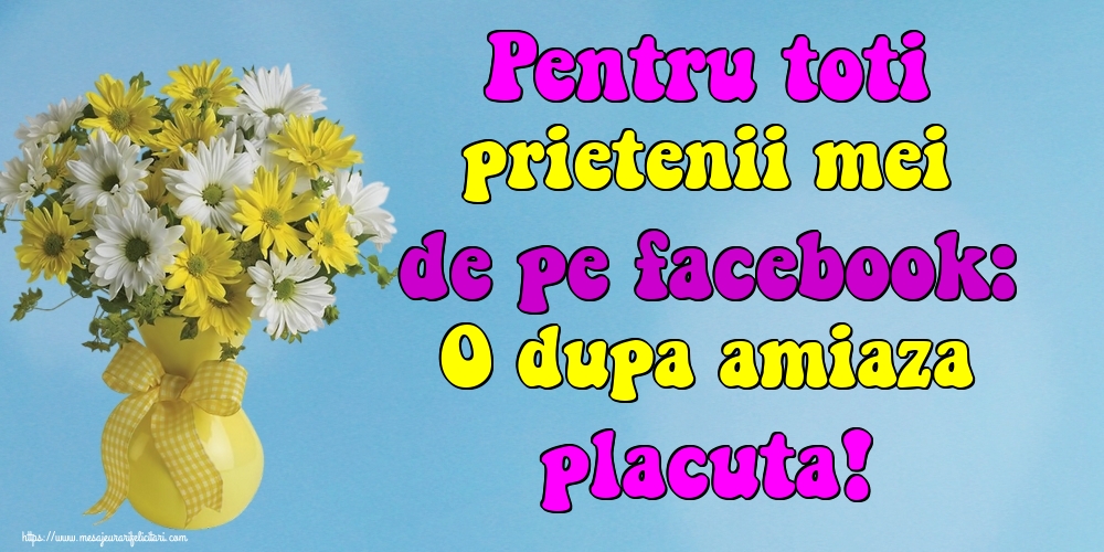 Pentru toti prietenii mei de pe facebook: O dupa amiaza placuta!