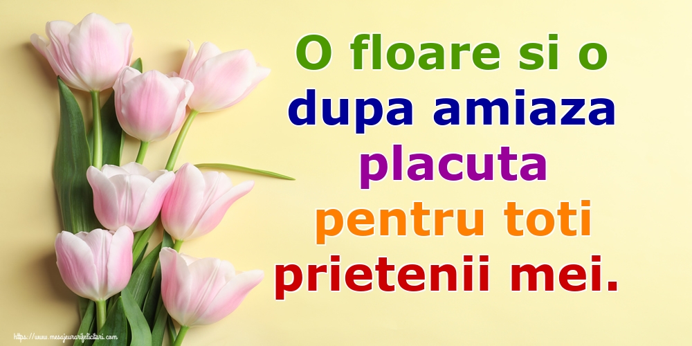 O floare si o dupa amiaza placuta pentru toti prietenii mei.