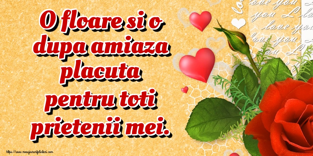 Felicitari de Amiaza - O floare si o dupa amiaza placuta pentru toti prietenii mei. - mesajeurarifelicitari.com
