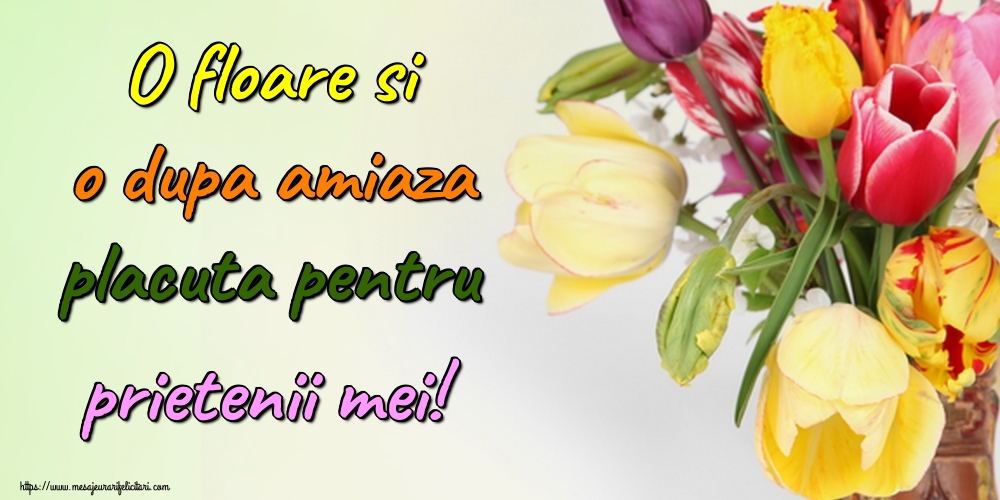 Felicitari de Amiaza - O floare si o dupa amiaza placuta pentru prietenii mei! - mesajeurarifelicitari.com