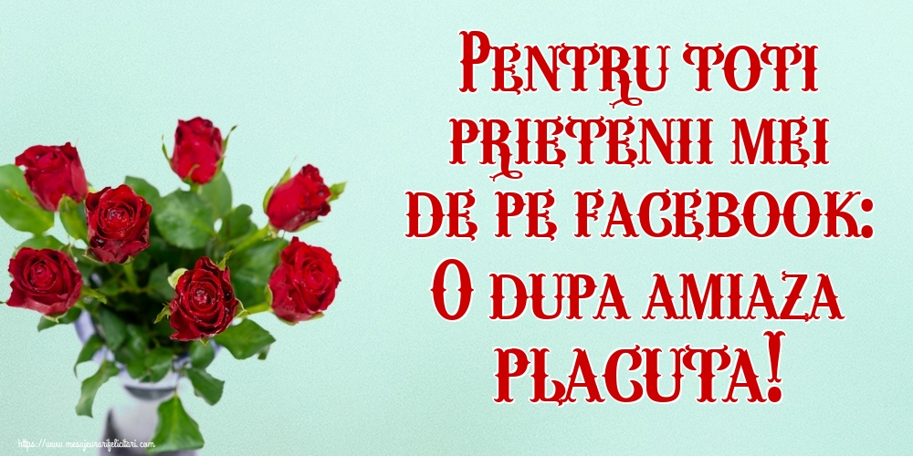 Pentru toti prietenii mei de pe facebook: O dupa amiaza placuta!